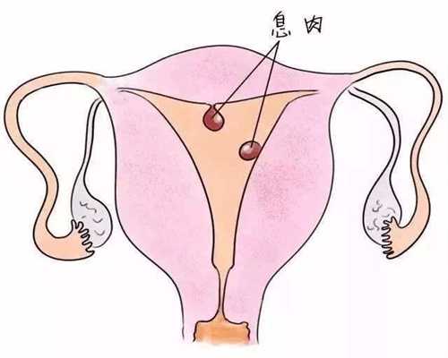 怀孕关键在于输卵管，这些身体症状别忽视，它