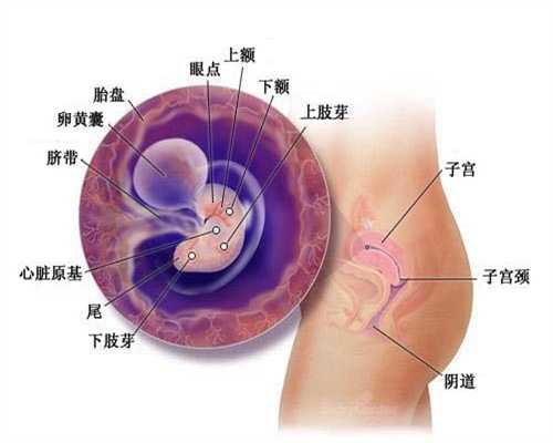 代孕官方网站_高龄二胎泰国试管成功率高吗？