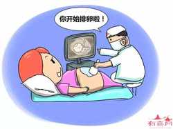 广州借卵借腹生子能接受吗,“借腹生子”涉及试管婴儿领域吗？