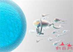 广州代孕中介协议，广州捐卵试管代孕医院排名，附捐卵试管费用明细！
