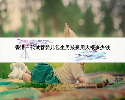 香港三代试管婴儿包生男孩费用大概多少钱