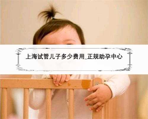 上海试管儿子多少费用_正规助孕中心